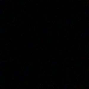 Meet your Posher, Gisele